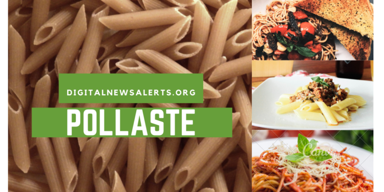 Pollaste