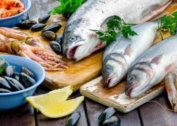 Types of Seafood: Navigating the Ocean’s Bounty