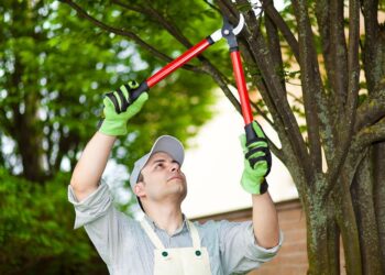 What is The Importance of Tree Pruning?