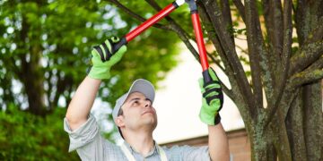 What is The Importance of Tree Pruning?