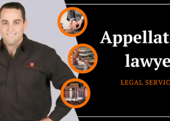 Exploring Civil Appeal Courts in St. Louis, Missouri