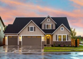 Enhancing Your Home With the Latest in Screen Doors