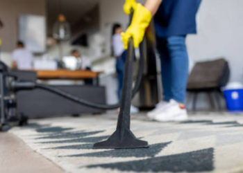 Revitalize Your Floors: Carpet Cleaning Pros