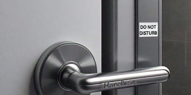 Which Locks Do I Use on a Bathroom Door- handles4u