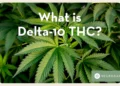 What is Delta 10 THC: Understanding the Compound and Its Effects
