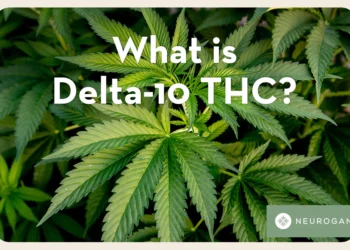 What is Delta 10 THC: Understanding the Compound and Its Effects