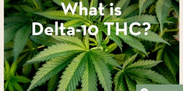 What is Delta 10 THC: Understanding the Compound and Its Effects
