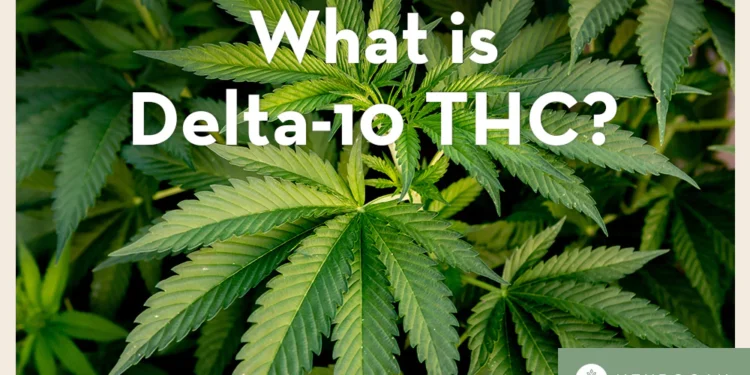 What is Delta 10 THC: Understanding the Compound and Its Effects