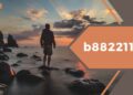 What is B88221141? Explaining in Simple Words