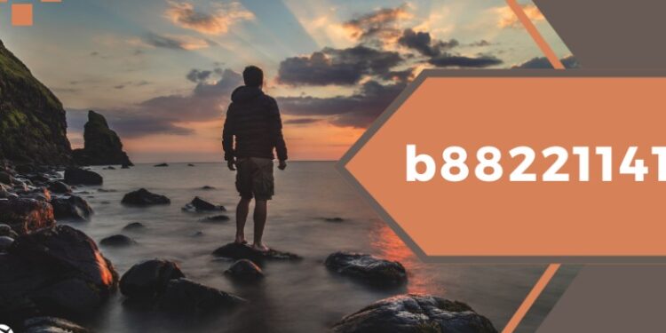 What is B88221141? Explaining in Simple Words