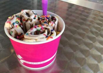 Cool Concoctions: Innovative Ice Cream And FroYo In Tampa Bay