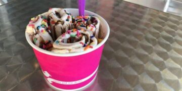 Cool Concoctions: Innovative Ice Cream And FroYo In Tampa Bay