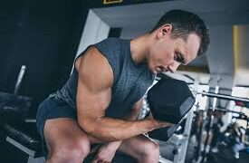 Unveiling the Ultimate Guide to Muscle Building with Wellhealthorganic.com