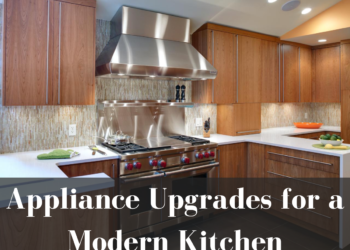 Appliance Upgrades for a Modern Kitchen