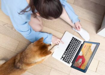 Online Dog Marketing: The Key to Realizing Your Business’s Full Potential