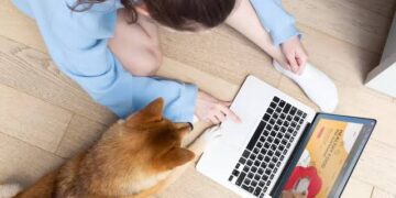 Online Dog Marketing: The Key to Realizing Your Business’s Full Potential