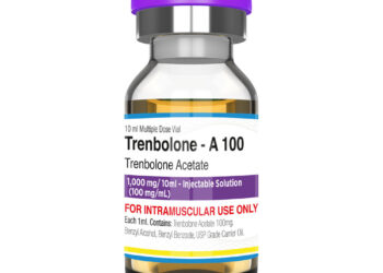 Navigating the Tren Market: Top Places for Quality Purchases