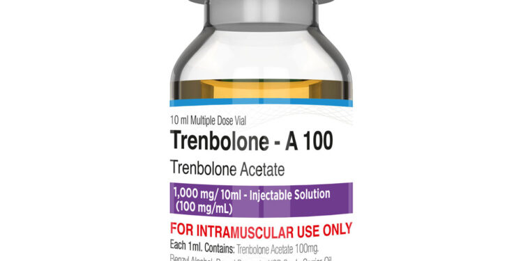 Navigating the Tren Market: Top Places for Quality Purchases