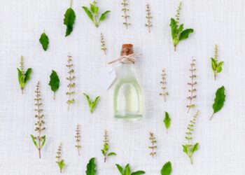 Perfume Stores in Singapore: A Fragrant Journey