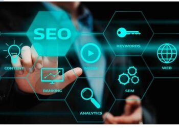 The Role of SEO in the Bundaberg Competitive Market