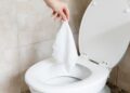 The Great Wipe Debate: Are Flushable Wipes Really Flushable?