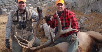 The Ultimate Guide to Guided Elk Hunts: What Every Hunting Enthusiast Needs to Know