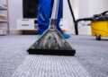 Key Tools for Optimal Carpet Care