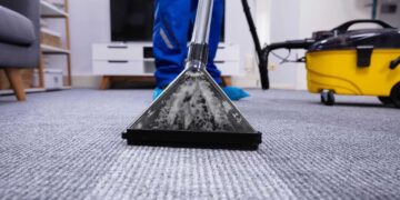 Key Tools for Optimal Carpet Care