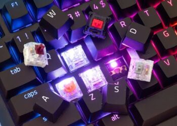 Which Keyboard Switches Are Best for You?