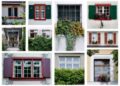 Choosing the Right Windows for Your Home