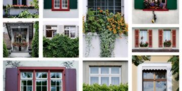 Choosing the Right Windows for Your Home