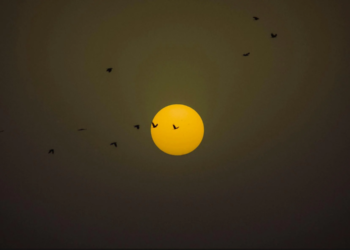 Hadley Palmer: Appliance Repair in Bristol