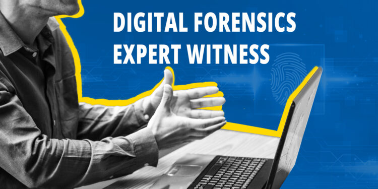Software Expert Witness Services for Technical Litigation