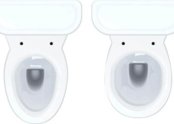 Do People Prefer Round or Elongated Toilets?