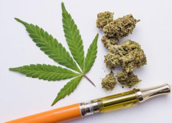 How to Choose the Right Cannabis Vape for Your Needs