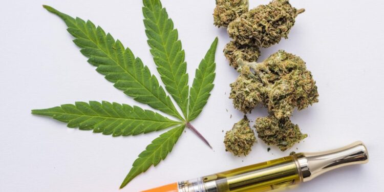 How to Choose the Right Cannabis Vape for Your Needs