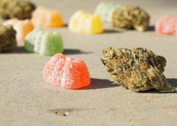 The Ultimate Guide to THC Gummies: Everything You Need to Know