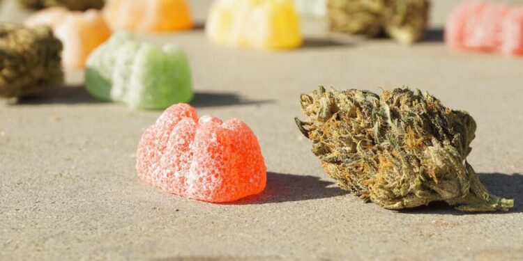 The Ultimate Guide to THC Gummies: Everything You Need to Know