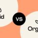 Organic vs. Paid Social Media: What Are the Differences?