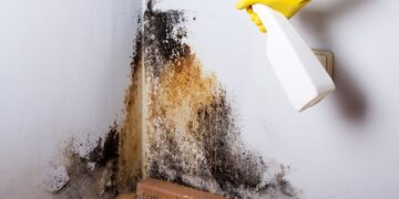 How to Get Rid Of Mold for Good?