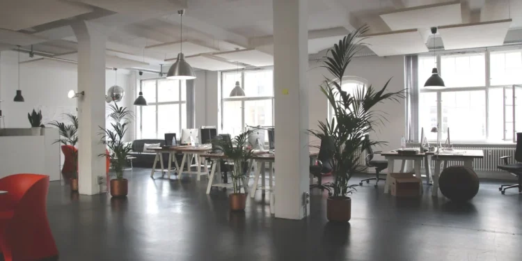 What Regular Office Cleaning Means for Your Business’s Longevity