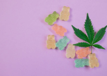 Top 4 THC Products for Beginners Looking to Enhance Wellness