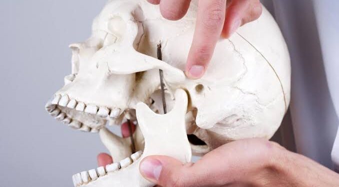 The Jaw Dilemma: TMJ Disorders Causes and Treatments You Need to Know