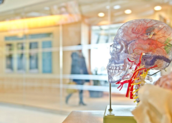 Understanding Brain Injuries: A Deep Dive into Cerebral Contusion vs Concussion