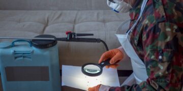The Essential Guide to Finding an Emergency Exterminator