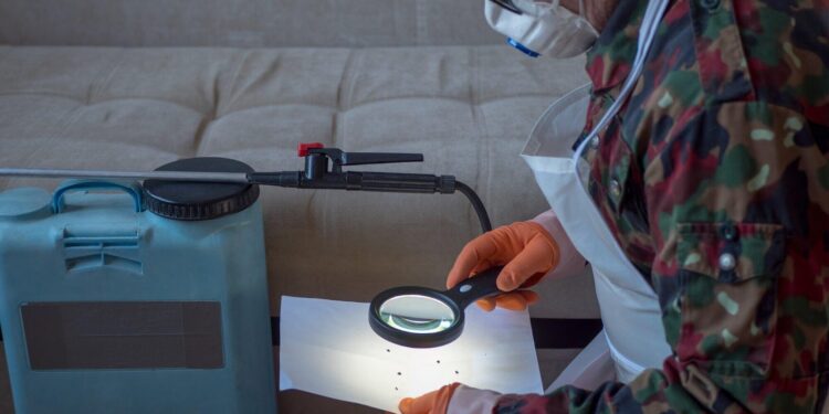 The Essential Guide to Finding an Emergency Exterminator