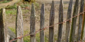 Understanding Fence Repair and Replacement: Cost and Installation of Chain Link Fences in Sacramento