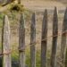 Understanding Fence Repair and Replacement: Cost and Installation of Chain Link Fences in Sacramento
