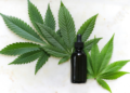 The Top 4 Cannabis Tincture Varieties and Their Unique Benefits
