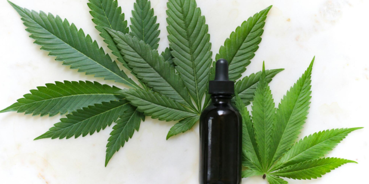 The Top 4 Cannabis Tincture Varieties and Their Unique Benefits